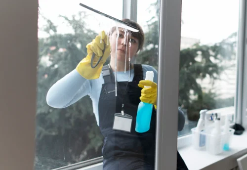 Nettoyage de vitres intérieures et extérieures à Écoche
